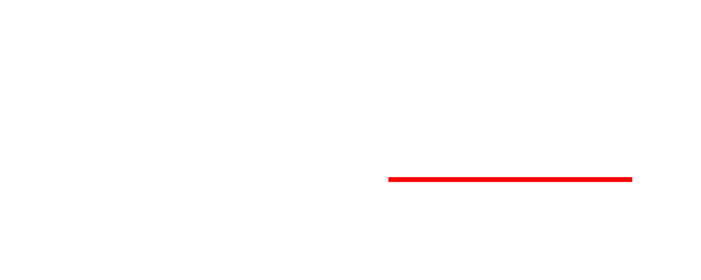 AXIDENT Assist